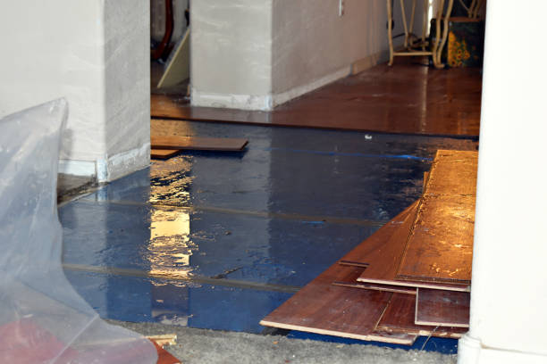 Professional Sewage Cleanup technician working in Waterman, IL